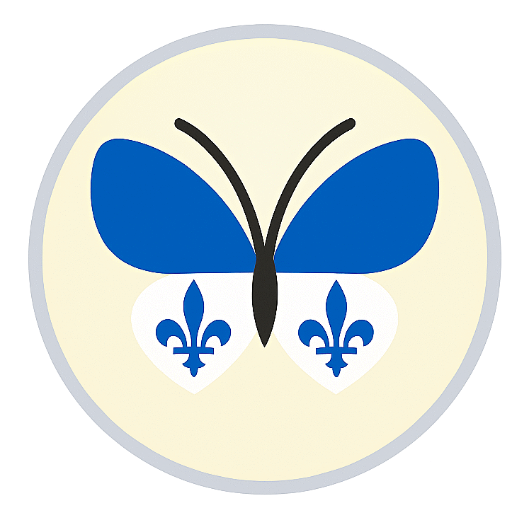 Les valeurs politiques derrière Atypiqueb